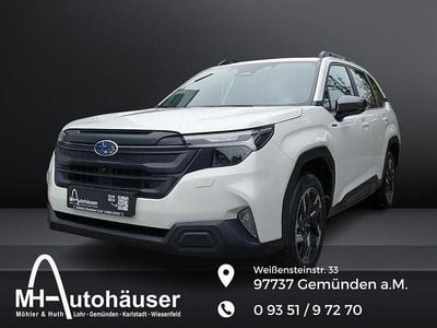 Neu Subaru Forester Active 136 PS (100 kW) 2025 River rock pearl SUV