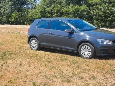 Gebraucht VW Golf VII Trendline 86 PS (63 kW) 2014 Grau Limousine