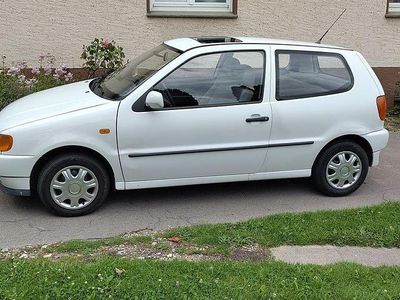VW Polo
