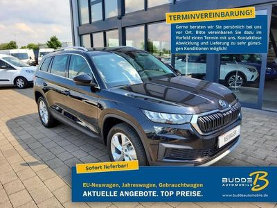 Skoda Kodiaq Scout 4x4 gebraucht (30) AutoUncle