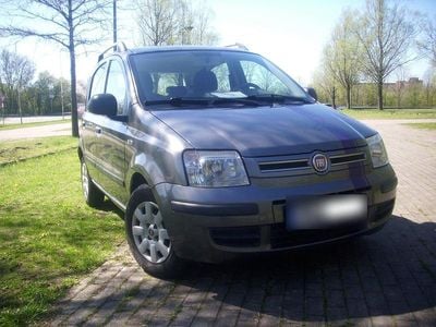 Usata Fiat Panda 60 CV (44 kW) 2010 Grigio Utilitaria