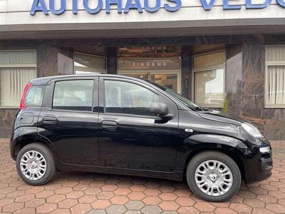 Nouă Fiat Panda Icon 65 CP (47 kW) 2025 Negru Hatchback