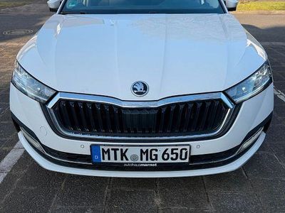 Weiß Gebraucht 2021 Skoda Octavia Limousine | 12.900 € (Teuer)