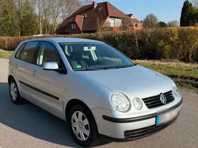 Gebraucht VW Polo 75 PS (55 kW) 2002 Silber Kleinwagen