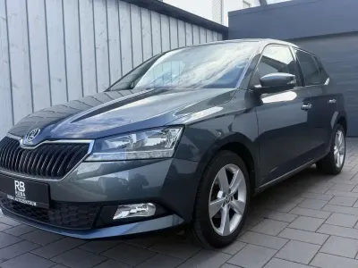 Gebraucht Skoda Fabia Cool Plus 60 PS (44 kW) 2020 Grau Kleinwagen