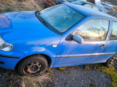 VW Polo