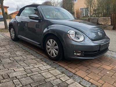 VW Beetle
