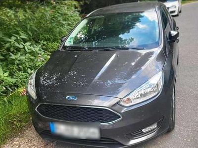 Braun Gebraucht 2018 Ford Focus Active Kombi | 8.400 € (Guter Preis)