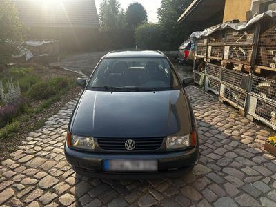 VW Polo