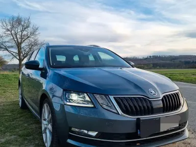 Gebraucht Skoda Octavia 150 PS (110 kW) 2017 Grau Kombi