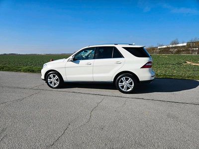 Gebraucht Mercedes ML350 259 PS (190 kW) 2013 Weiß SUV