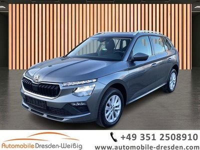 Grau Gebraucht 2024 Skoda Kamiq Selection SUV | 21.980 € (Guter Preis)