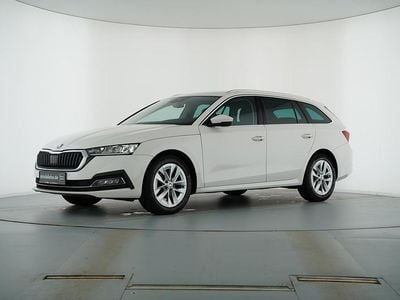 Gebraucht Skoda Octavia Style 116 PS (85 kW) 2023 Candyweiss Kombi