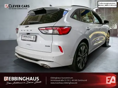 Gebraucht Ford Kuga ST-Line X 224 PS (164 kW) 2022 Weiß SUV