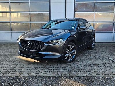 Gebraucht Mazda CX-30 Selection 179 PS (131 kW) 2020 Grau SUV
