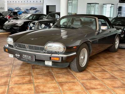 gebraucht Jaguar XJS V12 cabrio, sehr gepflegt