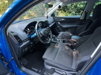 Gebraucht Skoda Karoq Ambition 116 PS (85 kW) 2019 Blau SUV