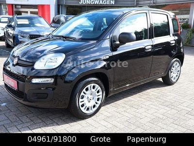 Neu Fiat Panda 69 PS (50 kW) 2025 Schwarz Kleinwagen
