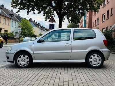 VW Polo