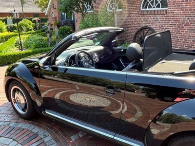 VW Beetle