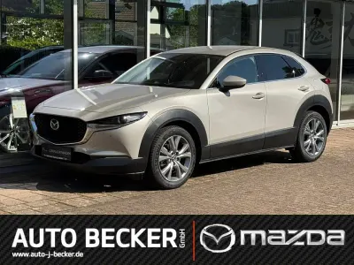 Gebraucht Mazda CX-30 Exclusive 122 PS (89 kW) 2023 SUV