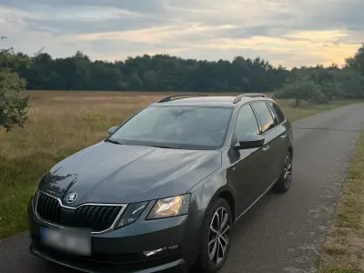 Gebraucht Skoda Octavia 150 PS (110 kW) 2019 Grau Kombi