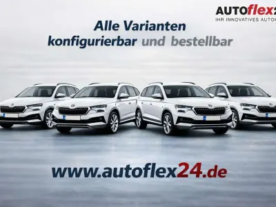 Gebraucht Skoda Karoq
