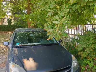 Gebraucht Opel Astra GTC