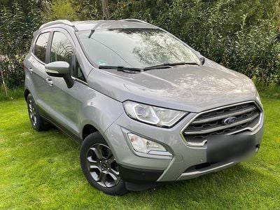Usata Ford Ecosport Titanium 125 CV (91 kW) 2020 Grigio SUV