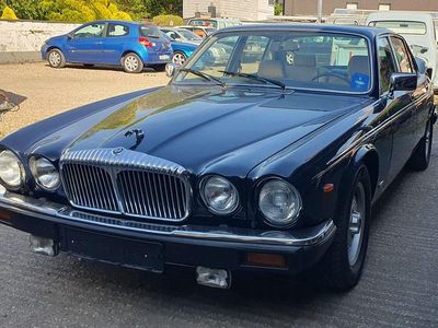 Gebraucht Jaguar XJ 264 PS (194 kW) 1993 Blau Limousine