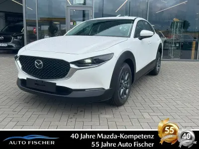 Neu Mazda CX-30 Prime-Line 140 PS (102 kW) 2026 Weiß SUV
