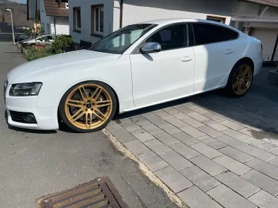 Gebraucht Audi S5 Sportback