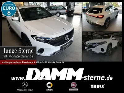 Brugt Mercedes EQA250+