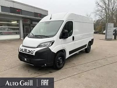 Gebraucht Fiat Ducato 140 PS (102 kW) 2025 Weiss ducato weiss Van