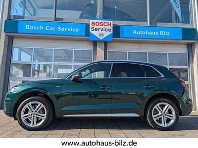 Gebraucht Audi Q5 S-Line 190 PS (139 kW) 2019 Azoren grün SUV