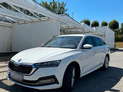 Second-hand Skoda Octavia 150 CP (110 kW) 2020 Alb Break