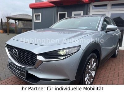 Gebraucht Mazda CX-30 Selection 122 PS (89 kW) 2020 Silber SUV