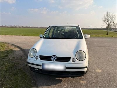 Gebraucht VW Lupo 75 PS (55 kW) 2001 Weiß Kleinwagen