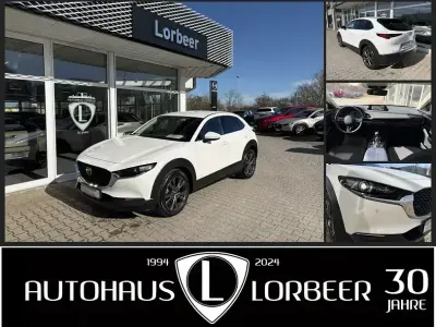 Brugt Mazda CX-30 Selection 179 HK (131 kW) 2020 Hvid SUV