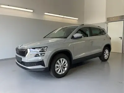 Neu Skoda Karoq Ambiente 150 PS (110 kW) 2026 [m3m3] stahl grau SUV