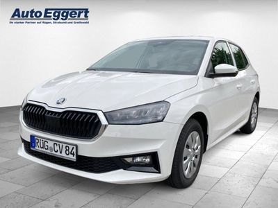 gebraucht Skoda Fabia 1.0 EU6d 1,0 MPI Ambition 80 PS LED LED-Tagfahrlicht Multif.Lenkrad RDC