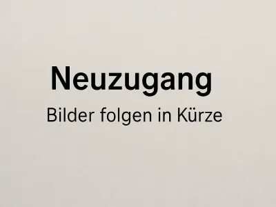 Gebraucht Renault Clio IV Bose Edition 118 PS (86 kW) 2017 Weiß Kleinwagen