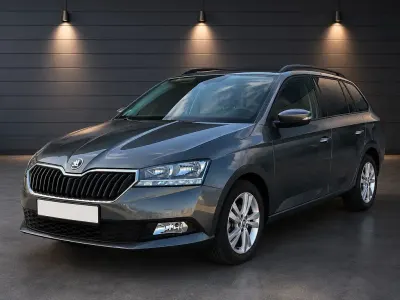 Gebraucht Skoda Fabia Ambition 95 PS (69 kW) 2020 Grau Kleinwagen