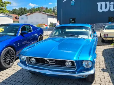 Gebraucht Ford Mustang 200 PS (147 kW) 2026 Blau Coupé