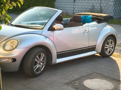 VW Beetle