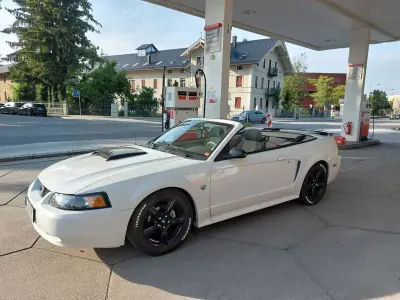 Gebraucht Ford Mustang
