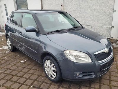 Grau Gebraucht 2009 Skoda Fabia Ambiente Limousine | 3.850 € (Teuer)