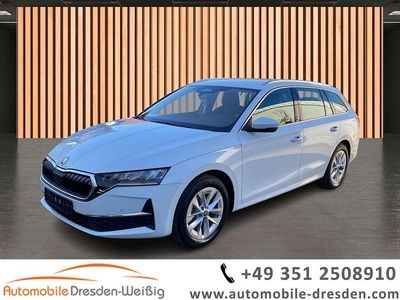 Gebraucht Skoda Octavia Selection 150 PS (110 kW) 2025 Moon white Kombi