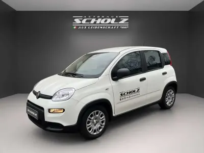 Usata Fiat Panda 69 CV (50 kW) 2024 Bianco Utilitaria