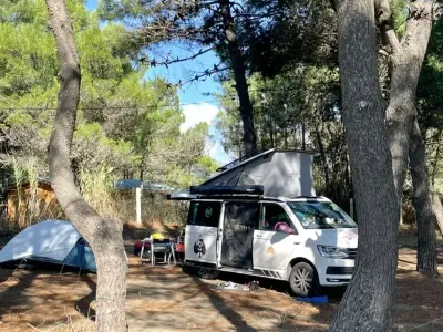 Usata VW Transporter Beach 199 CV (146 kW) 2019 Bianco Furgone